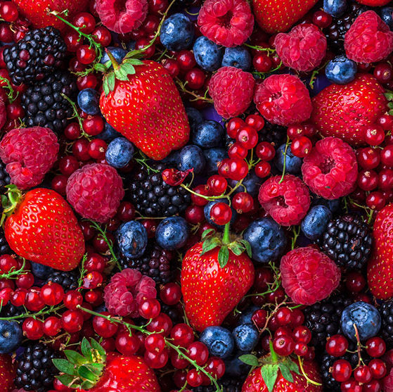 Tisana Frutal Moras de la Selva (100 g)