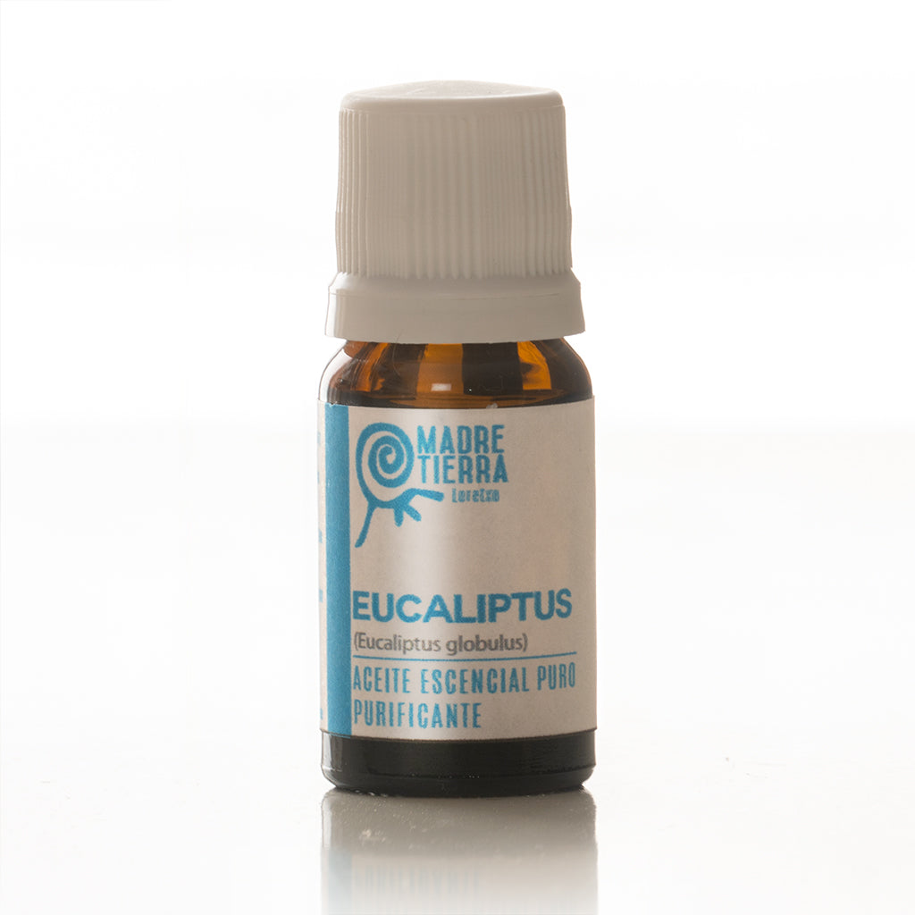 Aceite Esencial de Eucalipto Clásico – Bienat Aromaterapia México
