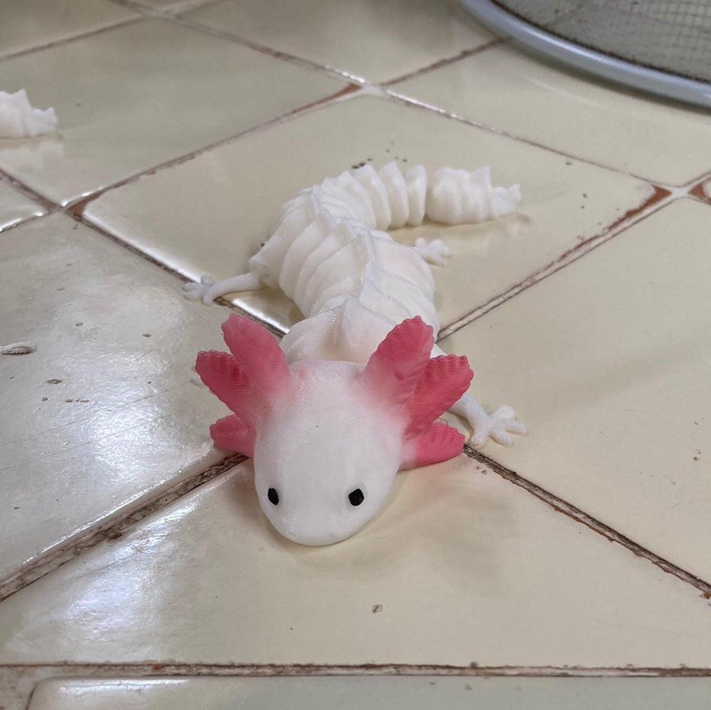 AXOLOTL 3D