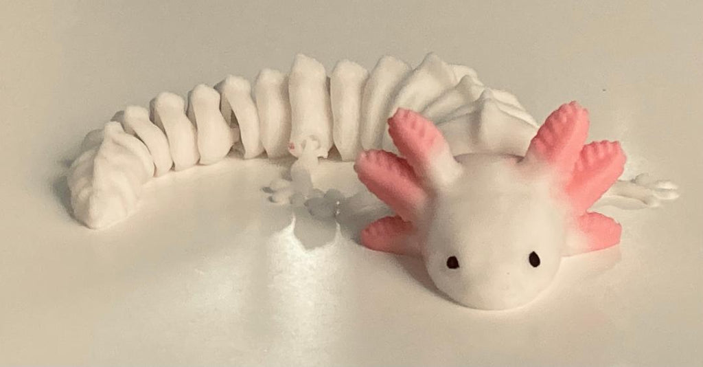 AXOLOTL 3D